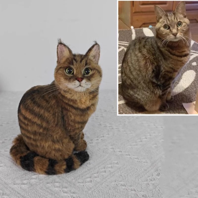 custom cat stuffed animal banner