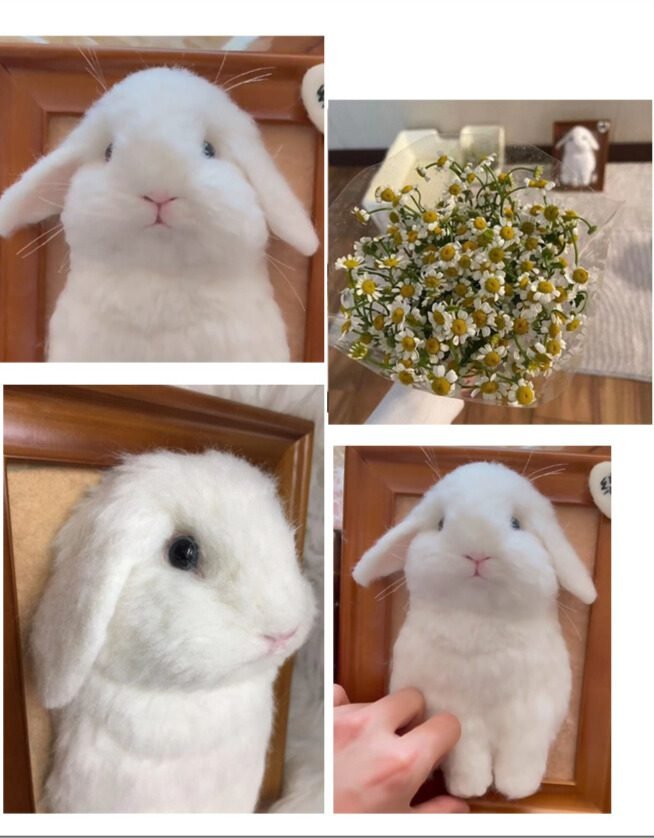 choosing framed pet portrait colors