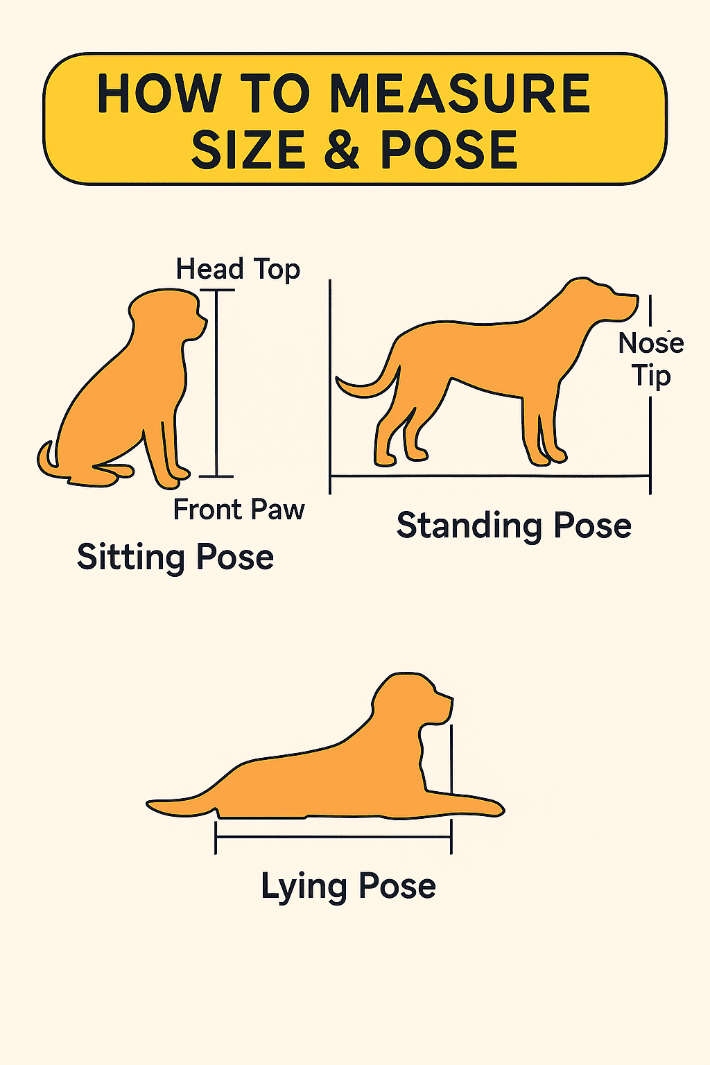 Measure pet sculpture