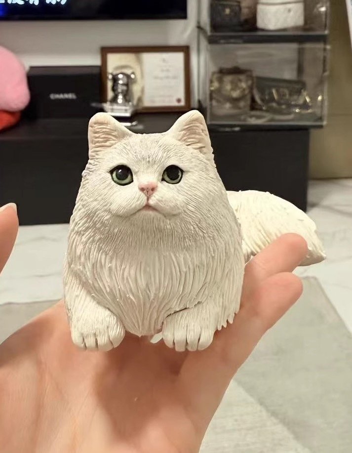 interview how do you know if your cat is dying