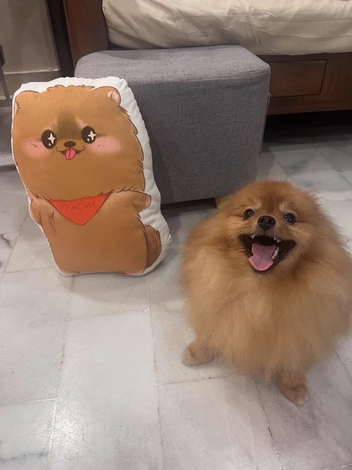 crafting dog pillow custom