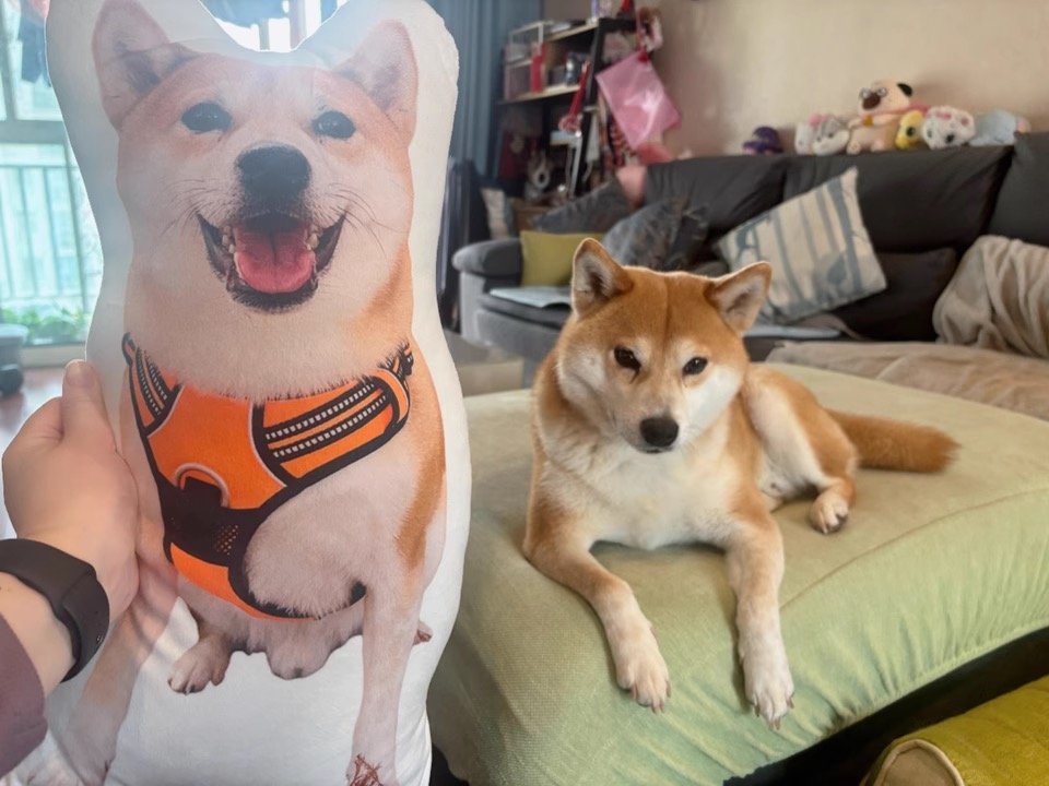 choosing dog pillow custom colors