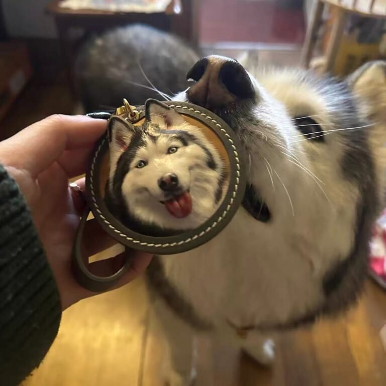 Pet Keychain