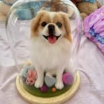 Custom wool pet sculpture