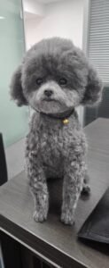 Click to view full screen Custom wool pet sculpture