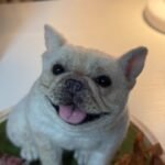 Custom wool pet sculpture