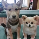 Custom wool pet sculpture