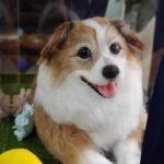 Custom wool pet sculpture