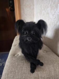 Click to view full screen Custom wool pet sculpture