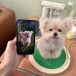 Custom wool pet sculpture