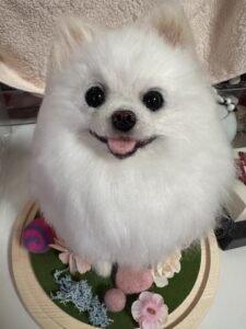 Click to view full screen Custom wool pet sculpture