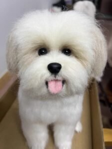 Click to view full screen Custom wool pet sculpture