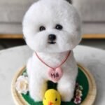 Custom wool pet sculpture