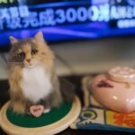 Custom wool pet sculpture