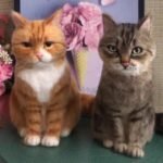 Custom wool pet sculpture