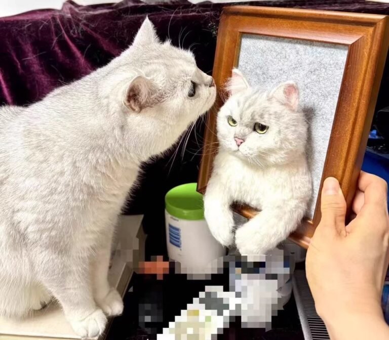 Felted Pet Portrait | Handmade Dog & Cat Memorial Gift photo review