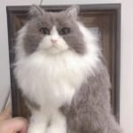 Custom Wool Felt Pet Portrait in Frame