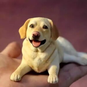 Custom Handmade Polymer Clay Pet Figurine