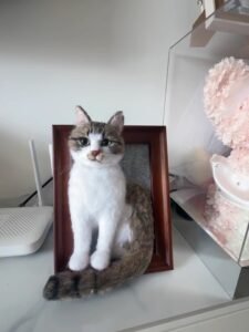 Custom Wool Felt Pet Portrait in Frame