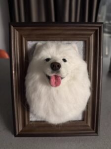 Custom Wool Felt Pet Portrait in Frame