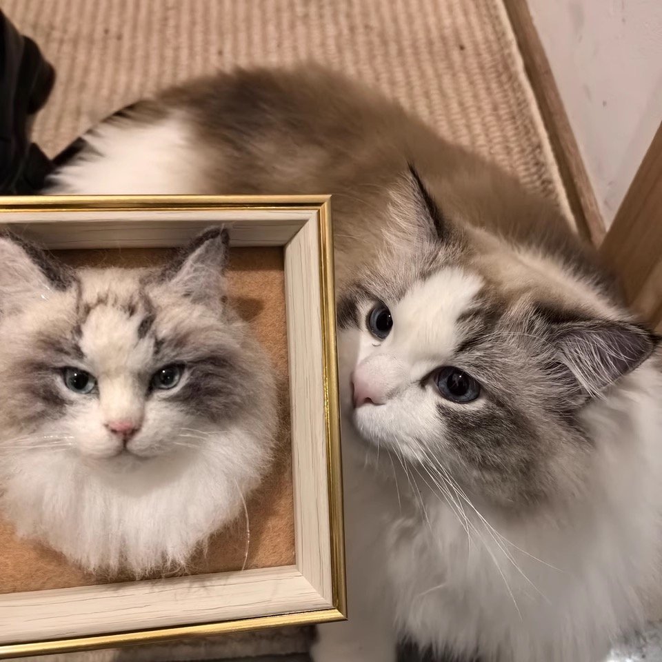 Custom Wool Felt Pet Portrait in Frame