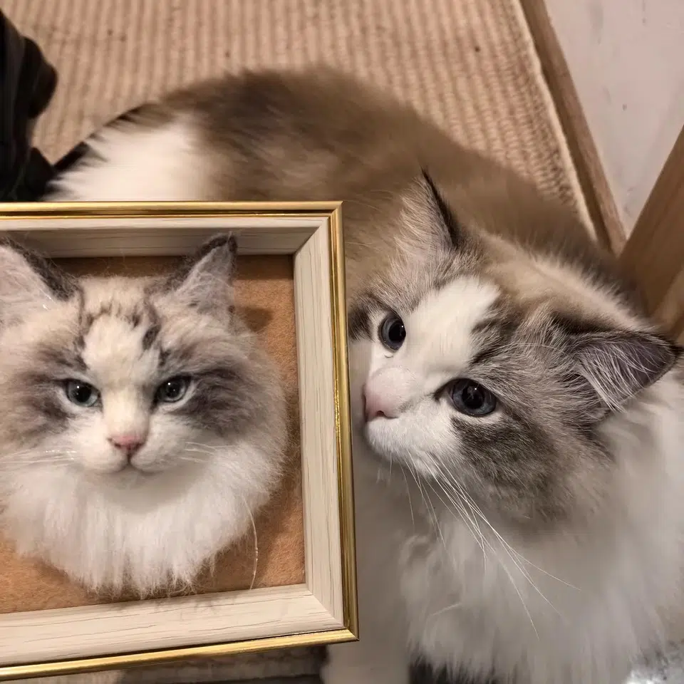 Custom Wool Felt Pet Portrait in Frame
