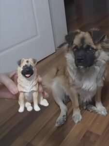 Custom Polymer Clay Pet Figure