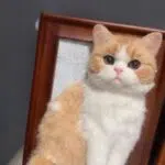 Custom Wool Felt Pet Portrait in Frame