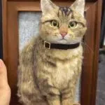 Custom Wool Felt Pet Portrait in Frame