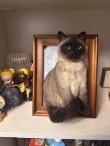 Custom Wool Felt Pet Portrait in Frame