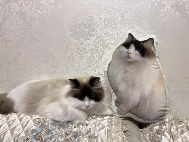 Custom Pet Pillow