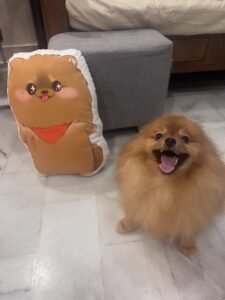 Custom Pet Pillow