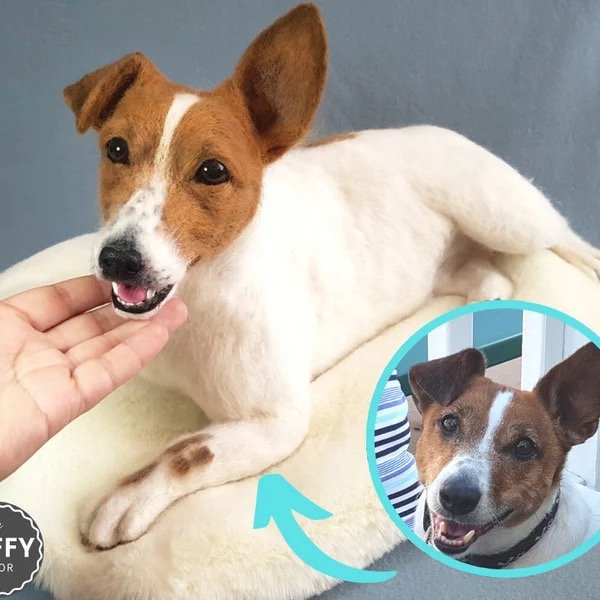 crafting stuffed animal of your pet