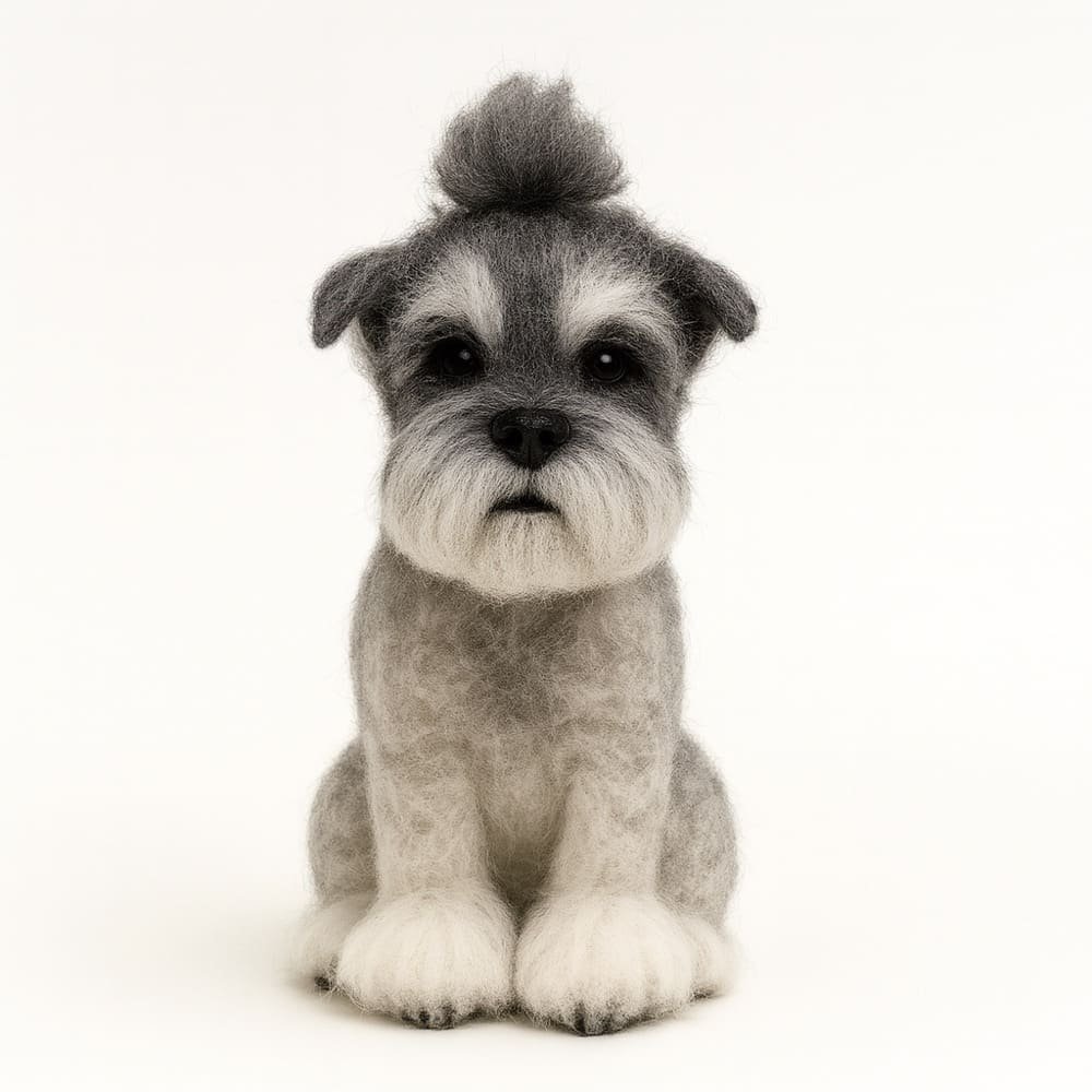 Standard display without glass dome