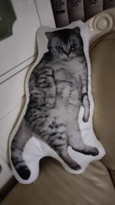 Custom Pet Pillow