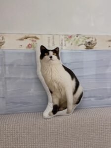 Custom Pet Pillow
