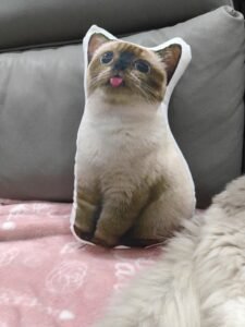 Custom Pet Pillow