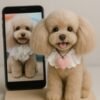 Needle Felt Pet Sculture