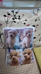 Custom Pet Pillow