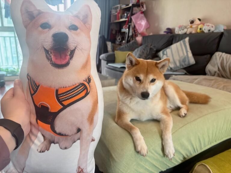 Custom Pet Pillow