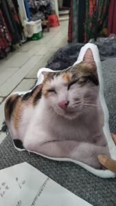 Custom Pet Pillow