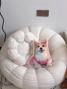 Custom Pet Pillow