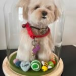 Custom Felted Pet Portrait | Handmade Pet Memorial Gift photo review