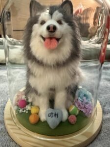 Custom Felted Pet Portrait | Handmade Pet Memorial Gift photo review