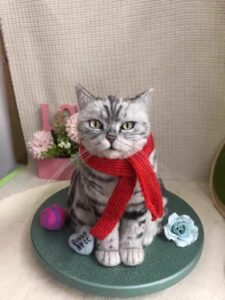 Custom Felted Pet Portrait | Handmade Pet Memorial Gift photo review