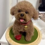 Custom Felted Pet Portrait | Handmade Pet Memorial Gift photo review