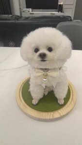 Custom Felted Pet Portrait | Handmade Pet Memorial Gift photo review