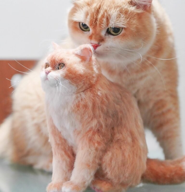 Custom Felted Pet Portrait | Handmade Pet Memorial Gift photo review