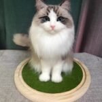 Custom Felted Pet Portrait | Handmade Pet Memorial Gift photo review