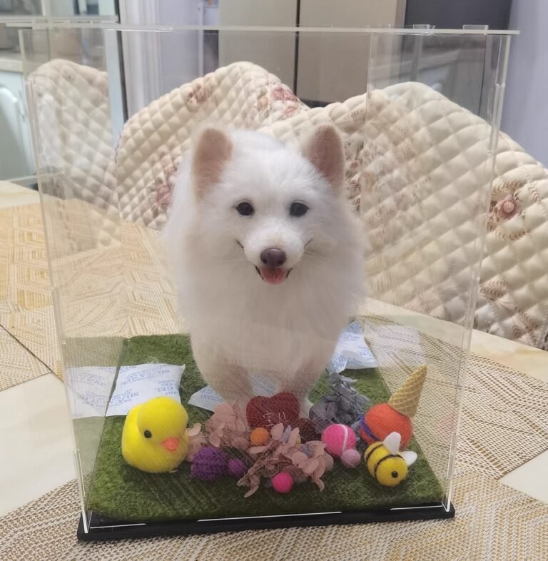 Custom Felted Pet Portrait | Handmade Pet Memorial Gift photo review